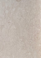 Limestone - Indiana white 610x406x30